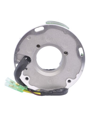 Stator SeaDoo 720SPX 580GTS 580GTX 580SP 580SPI 650XP 650XPI 720SPX OEM 290995103 290995109 420995109