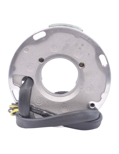 Stator SeaDoo Explorer Speedster Sportster 720GTS 720GS 720GTI OEM 290886725 290886726 420886725