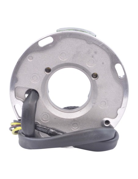 Stator SeaDoo Explorer Speedster Sportster 720GTS 720GS 720GTI OEM 290886725 290886726 420886725