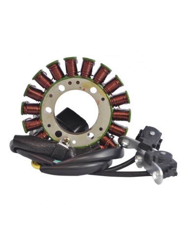 Stator Allumage SkiDoo Grand Touring Sport Renegade GSX MXZ Summit OEM 420889904 420889907 420889909 420889908