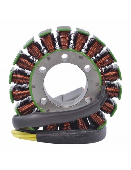 Stator SkiDoo Legend 600 800 GSX600 Mach Z 1000 Skandic 600 MXZ 1000 Renegade OEM 420866060 420866065 420866068