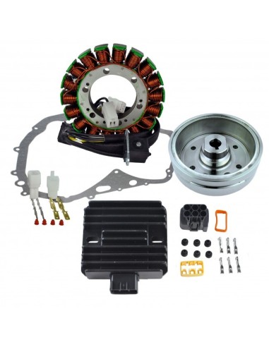 Kit Alternateur Stator Rotor Régulateur Rectifieur Joint Carter Suzuki LTF400 Eiger OEM 32101-38F00 32102-38F00 32102-38F01
