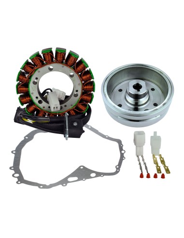 Kit Alternateur Stator Volant Magnétique Rotor Joint Carter Suzuki LTF400 Eiger OEM 32101-38F00 32102-38F00 32102-38F01