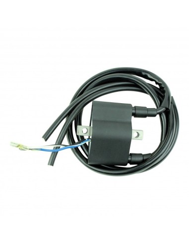 Ignition Coil Arctic Cat Puma ZR EXT EL Tigre Lynx Pantera Panther Jag Wildcat Cheetah Cougar OEM 3003-389 3003-639 3003-734