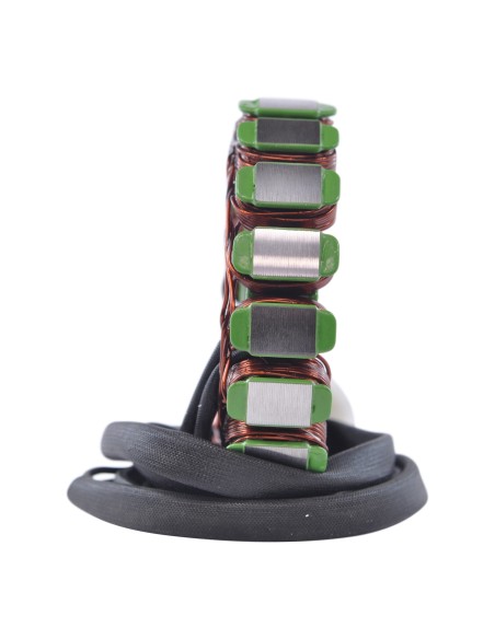 Stator Triumph America 800 900 Scrambler 900 Speedmaster 800 900 Thruxton 900 T100 OEM T1305502 T1300076