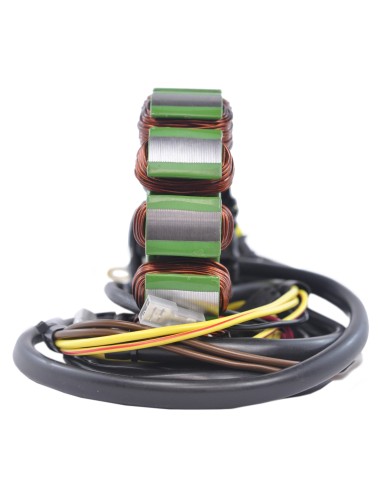 Stator Allumage Polaris 600 Sportsman OEM 2202602 2202603 4010709 4010901 4011103