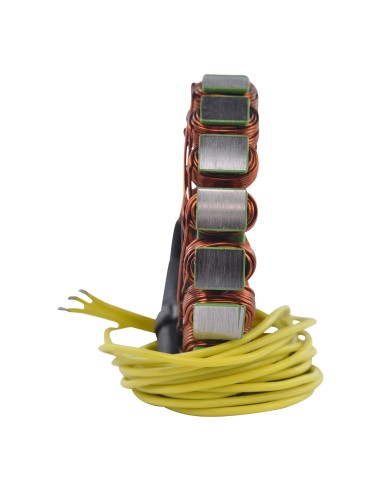 Stator Suzuki LTF250 LT300 Quadrunner LTF250 LTF300 KingQuad OEM 32101-19B10 32101-19B30 32101-45C00 32101-48E00