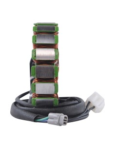 Stator Allumage Triumph Daytona 675 OEM T1300039 2