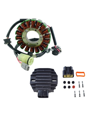 Kit Allumage Stator Régulateur Rectifieur Yamaha 250 Raptor OEM 4D3-81410-00-00 5GT-81960-00-00