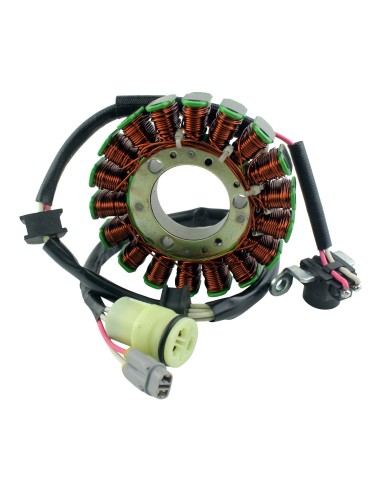 Stator Yamaha 250 Raptor OEM 4D3-81410-00-00