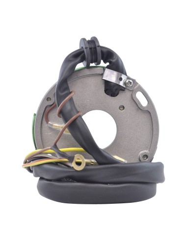 Stator Allumage Polaris Xplorer 250 Trail Blazer 250 Big Boss 250 Trail Boss 250 OEM 3083979 3083907 
