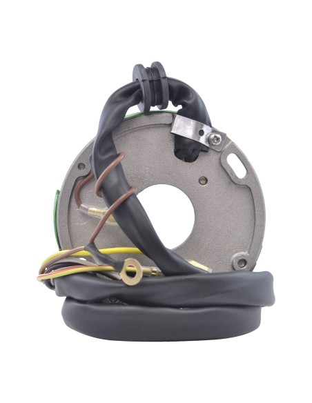 Stator Allumage Polaris Xplorer 250 Trail Blazer 250 Big Boss 250 Trail Boss 250 OEM 3083979 3083907 