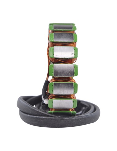 Stator Allumage Triumph Daytona 955i OEM T1300507