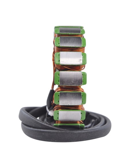 Stator Triumph Daytona 955i OEM T1300507