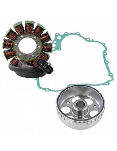 Alternateur Stator Volant Magnétique Rotor SkiDoo Expedition Grand Touring GSX GTX MX Z MX ZX Renegade 1200