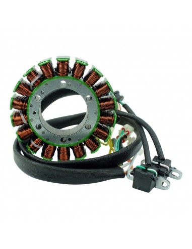 Stator Allumage Polaris 800 Switchback 600 Widetrak 600 800 Rush 600 800 RMK OEM 4012939 4012548 4012113