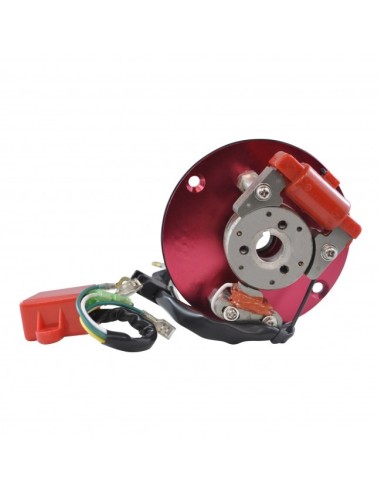 Allumage Stator Rotor Boitier CDI Honda XR50 CRF50 XR70 ZR50 OEM 31120-GW8-671 31110-GK4-941 30410-GW8-670