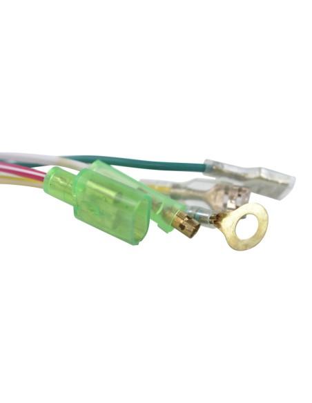 Inner Rotor Kit Honda XR50 CRF50 XR70 ZR50 OEM 31120-GW8-671 31110-GK4-941 30410-GW8-670