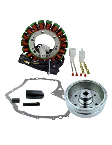Kit Stator Magneto Flywheel Stator Cover Gasket Arctic Cat 400 OEM 3430-054 3430-053 0444-254 3402-768