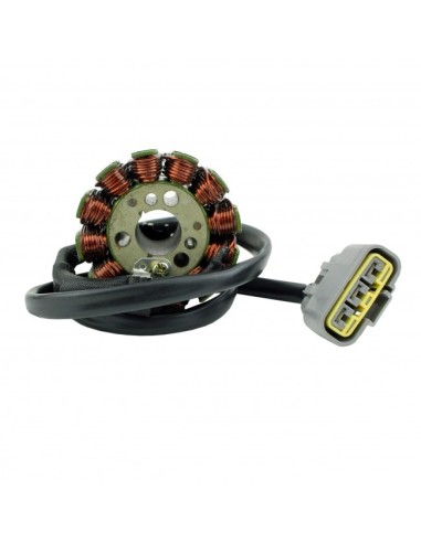 Stator Allumage Yamaha FZS1000 FZ1 FZ8 YZF R1 OEM 2D1-81410-00-00 2D1-81410-01-00 2D1-81410-10-00 5VY-81410-00-00