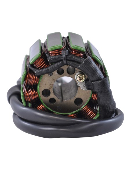 Stator Yamaha FZS1000 FZ1 FZ8 YZF R1 OEM 2D1-81410-00-00 2D1-81410-01-00 2D1-81410-10-00 5VY-81410-00-00