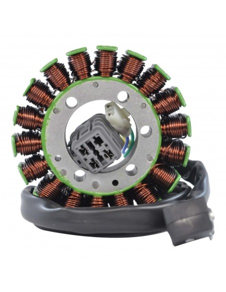 Stator CanAm DS250 OEM S31120RCA000