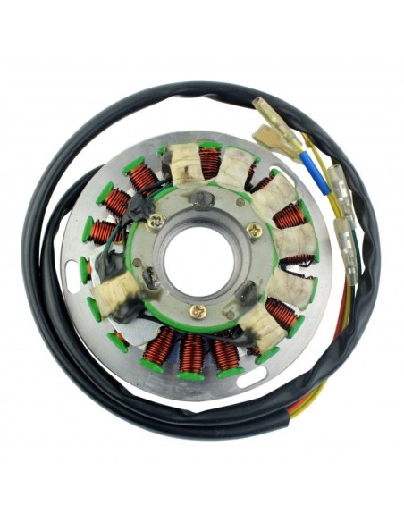 Stator Allumage Husqvarna TE 410 TE 510 TE 610