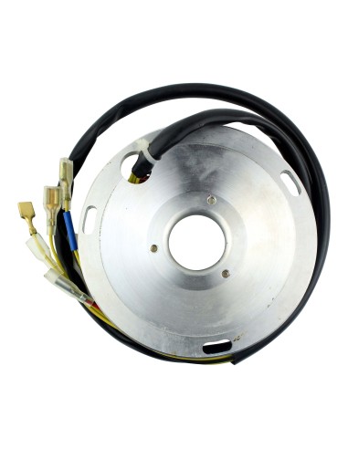 Stator Allumage Husqvarna TE 410 TE 510 TE 610