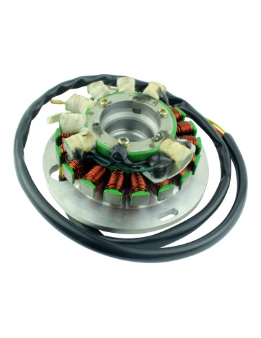 Stator Husqvarna TE 410 TE 510 TE 610