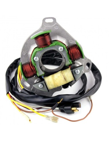 Stator Allumage Polaris Xplorer 300 Xpress 300 Trail Boss 300 OEM 3084814