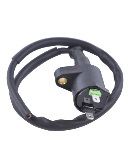 Bobine HT Honda TRX300 Fourtrax OEM 30510-GAG-000 30510-GCF-A20 30510-GEL-700 30510-GM6-710 30510-HM5-630 30510-HM5-670
