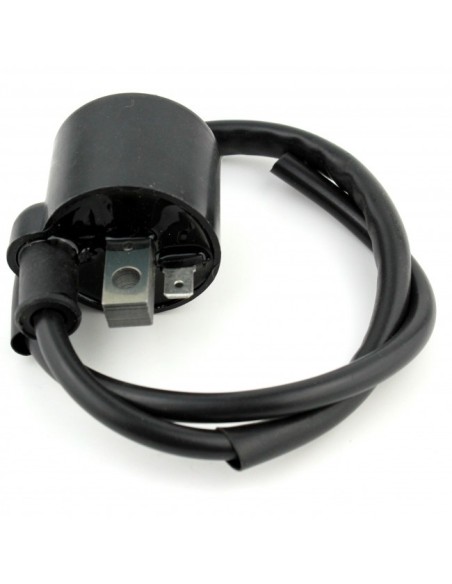 Bobine HT pour Honda 125 CBR - JC39A main image 0