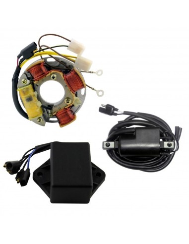 Kit Allumage Stator Boitier CDI Bobine  SkiDoo Alpine Formula Nordik Safari OEM 410912500 410913700 420866595 420866605