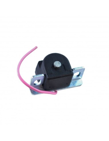 Capteur Allumage Polaris Predator 50 90 Scrambler 50 90 Eton 50 70 90 OEM 0450202 0450377 0450521 0450522 0450523 0450572