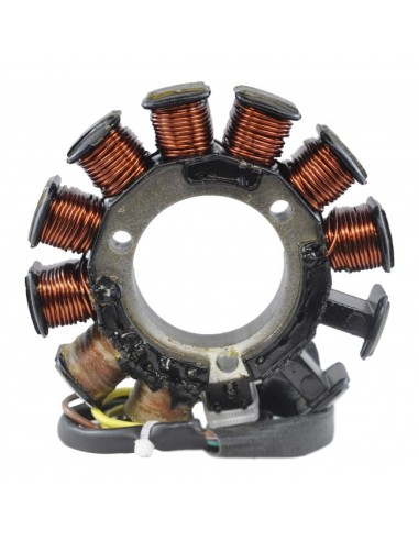 Alternateur Stator Arctic Cat Powder 700 ZR700 3005-522 