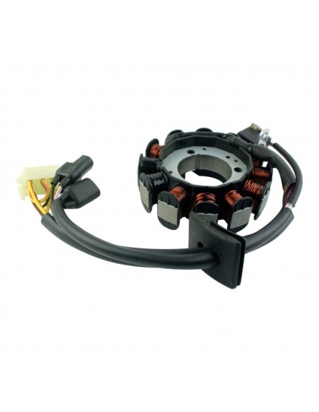 Stator Allumage Polaris Motoneige 340 Transport 340 Edge 340 Classic 340 Indy 340 Touring OEM 3089472