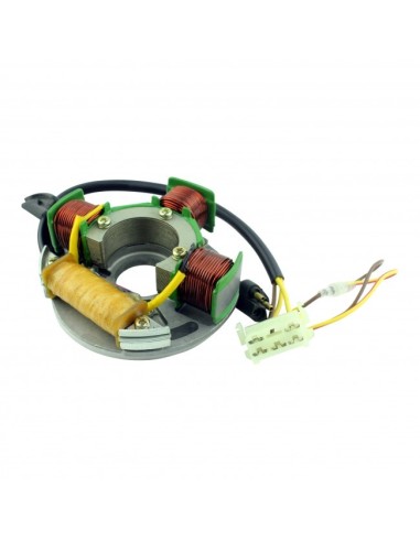 Stator Polaris 340 400 440 488 500 Classic Edge Indy Lite SKS Sport Tran Sport X CR Trail Widetrack OEM 3084509 3083991 3084004