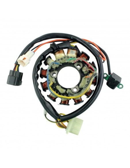 Stator Polaris Snowmobile Supersport Edge Classic Sport Touring Trail RMK Touring Indy Sport XCF 340 440 500 550 OEM 3085934