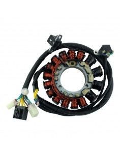 Stator Allumage Polaris 700 Classic 700 Fusion 700 RMK 900 Fusion 900 RMK 900 Switchback OEM 4011463 4010727 2
