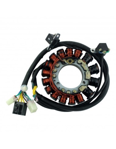 Stator Polaris 700 Classic 700 Fusion 700 RMK 900 Fusion 900 RMK 900 Switchback OEM 4011463 4010727