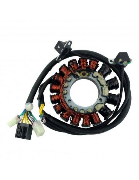 Stator Polaris 700 Classic 700 Fusion 700 RMK 900 Fusion 900 RMK 900 Switchback OEM 4011463 4010727