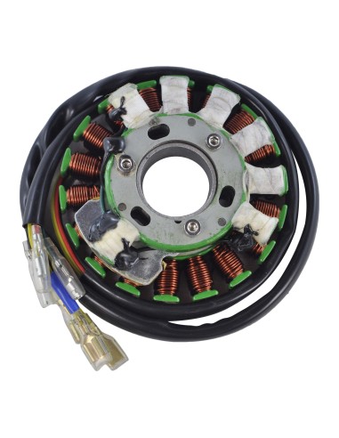 Stator SEM Husaberg FC400 FE400 FS400 FX400 FC470 FX470 FE500 FX500 FE501 FC550 FE600 FX600 FE650 FS650 FX650