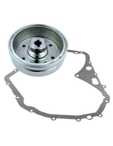 Rotor Gasket Arctic Cat 400 Suzuki LTF400 Eiger OEM 32102-38F00 32102-38F01 3430-054 11483-38F10 3402-768
