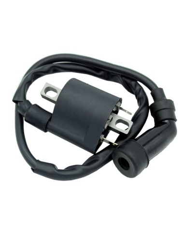 Kit Stator Joint Carter Bobine HT Yamaha 700 Rhino OEM 5B4-81410-00-00 3B4-15451-00-00 1D7-82310-00-00 5YU-82310-10-00