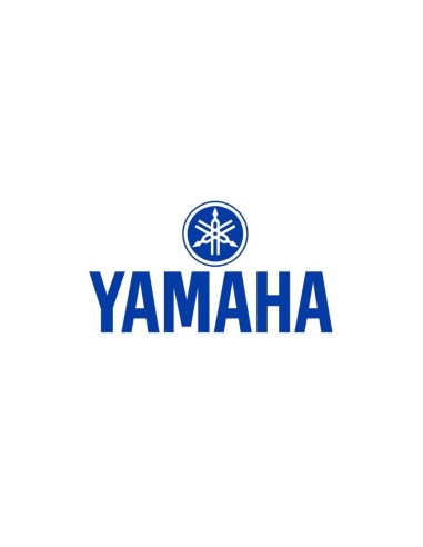 External Coil Yamaha YFZ 450 R X 2009-2017 OEM 18P-82310-00-00
