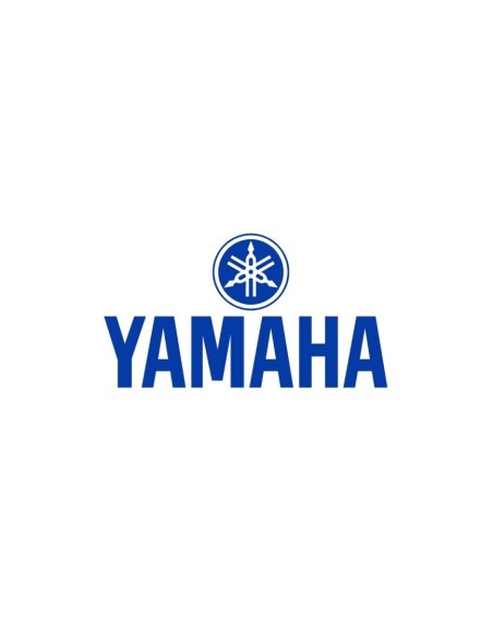 Bobine Haute Tension HT Yamaha YFZ 450 R X 2009-2017 OEM 18P-82310-00-00