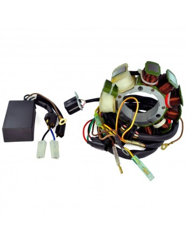 Kit Stator CDI Polaris Magnum 500  Worker 500 Big Boss 500 Sportsman 500 Scrambler 500 Ranger 500 OEM 3085561 3086821 3085639