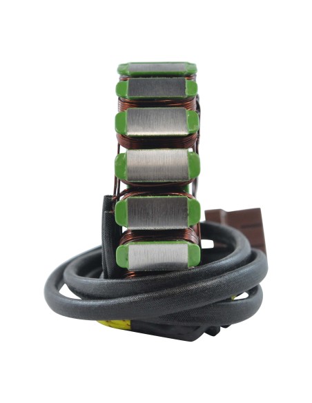 Stator Aprilia Tuono 1000 OEM AP0685330