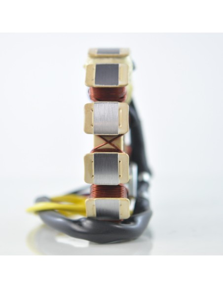 Stator SkiDoo Formula MXZ Grand Touring Mach1 650 Mach Z 780 Skandic Summit OEM 410919000 410916500 