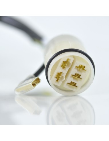 Stator Allumage Honda TRX450 Fourtrax Foreman TRX400 Fourtrax Foreman OEM 31120-HM7-004 31120-HM7-014 31120-HM7-700